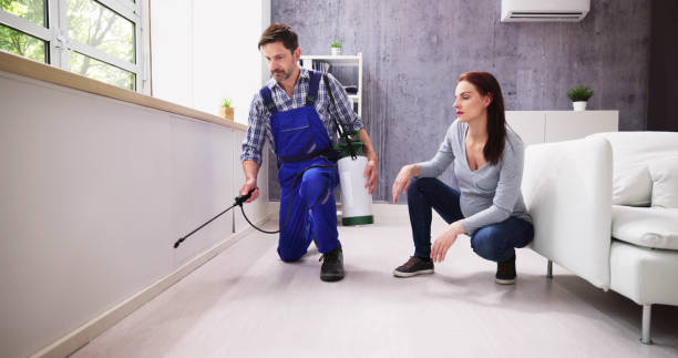 Best Pest Exclusion Services  in Memphis, MI